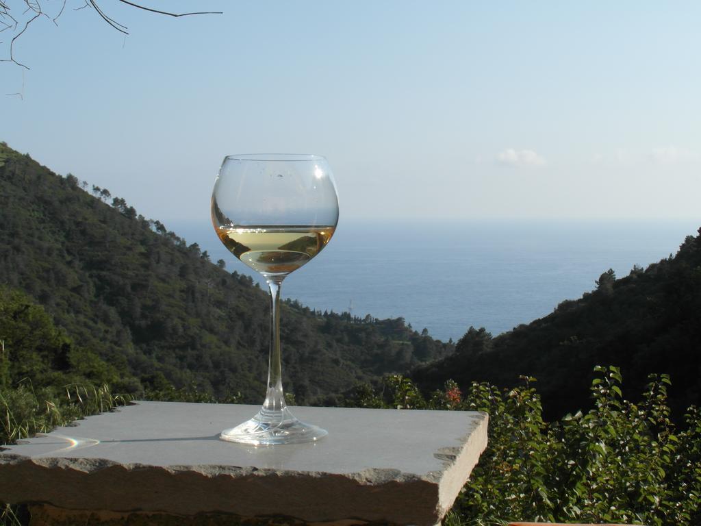 Agriturismo Costa Di Campo ヴェルナッツァ エクステリア 写真