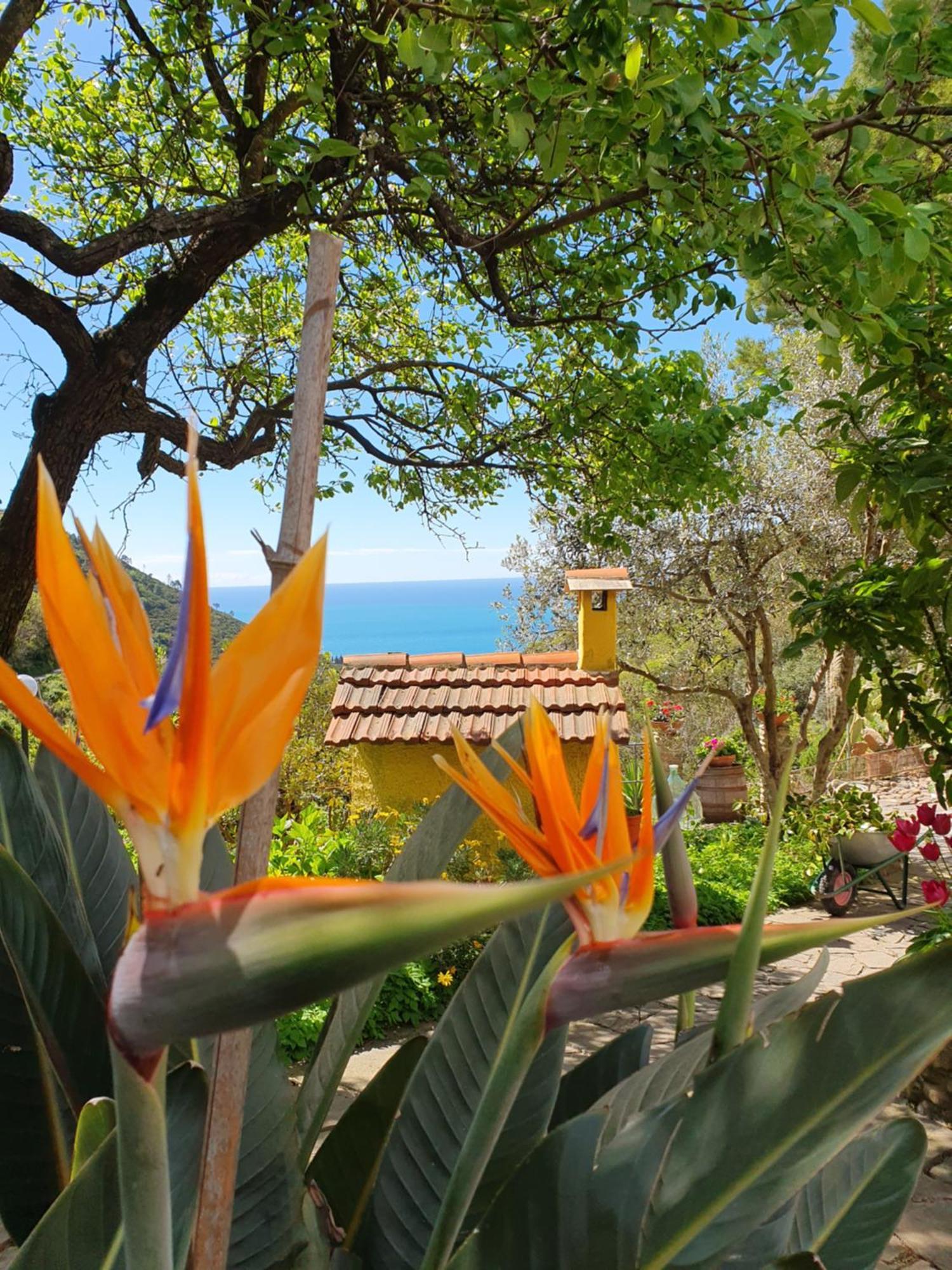 Agriturismo Costa Di Campo ヴェルナッツァ エクステリア 写真