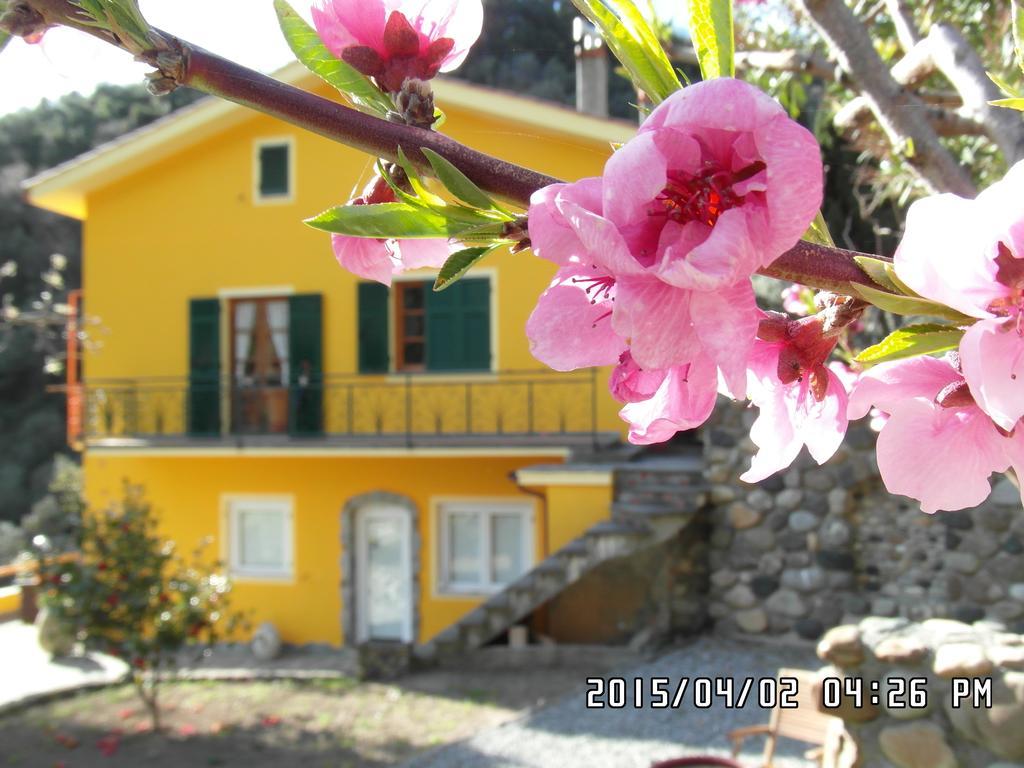 Agriturismo Costa Di Campo ヴェルナッツァ エクステリア 写真