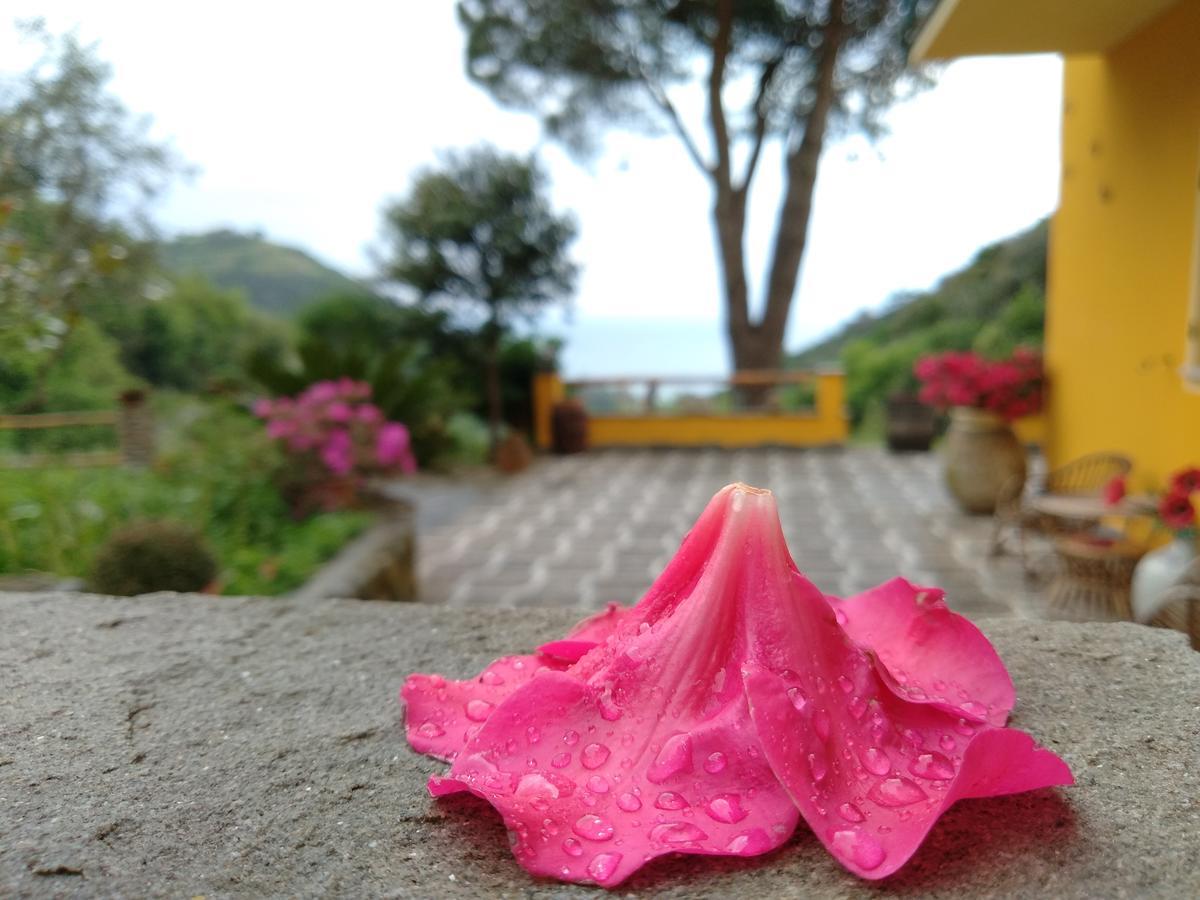 Agriturismo Costa Di Campo ヴェルナッツァ エクステリア 写真