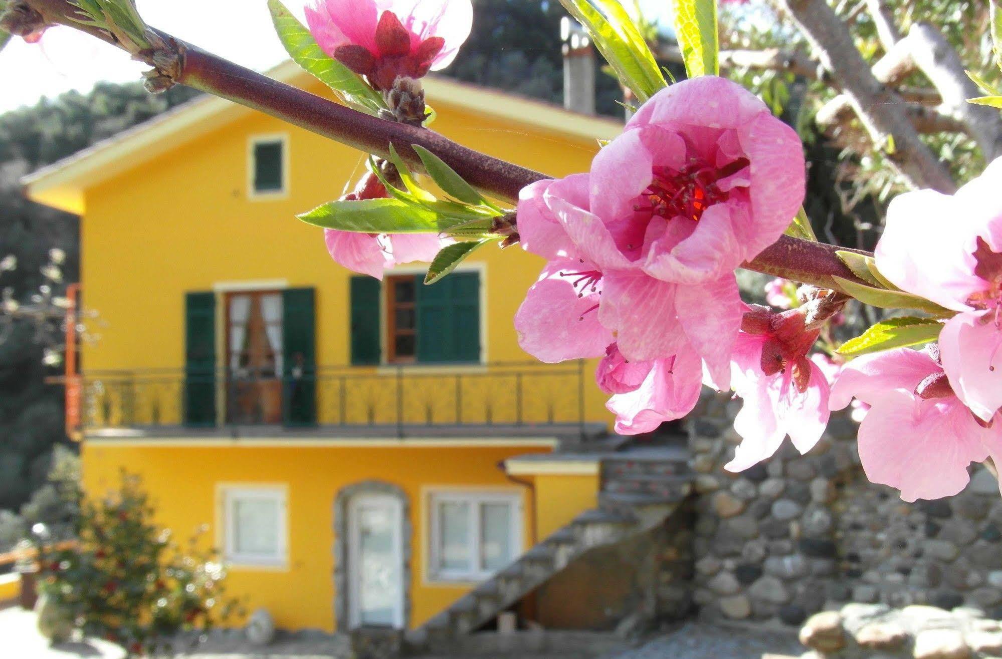 Agriturismo Costa Di Campo ヴェルナッツァ エクステリア 写真