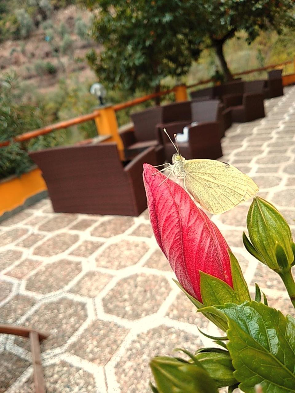 Agriturismo Costa Di Campo ヴェルナッツァ エクステリア 写真