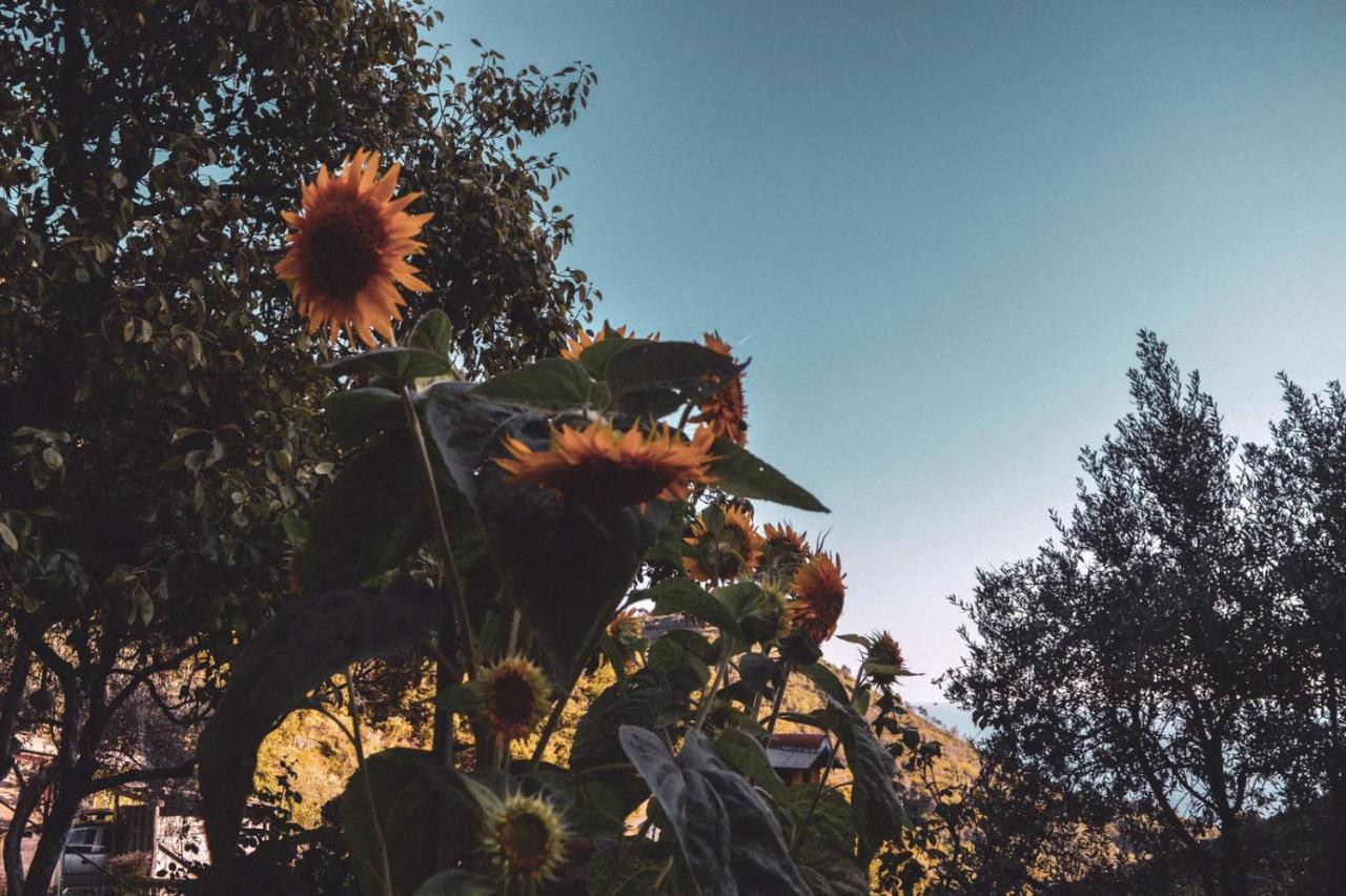 Agriturismo Costa Di Campo ヴェルナッツァ エクステリア 写真