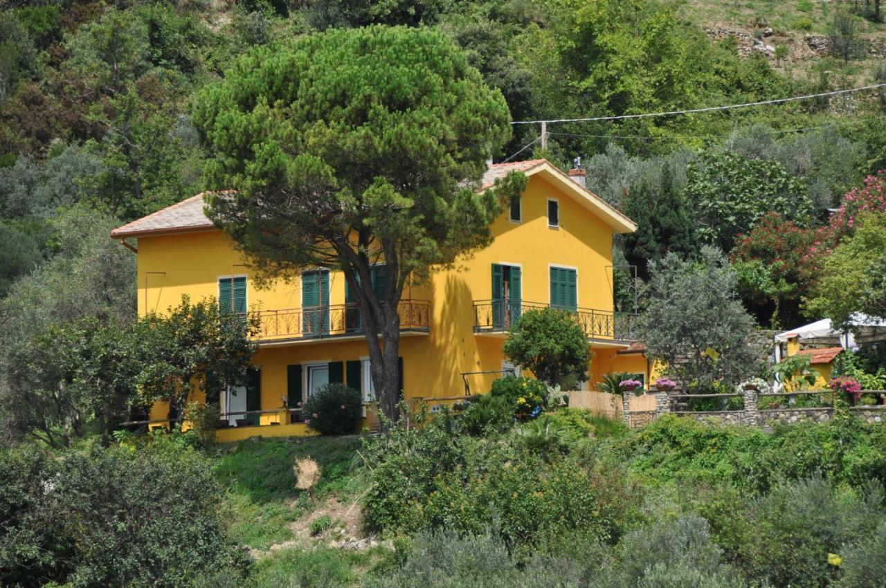 Agriturismo Costa Di Campo ヴェルナッツァ エクステリア 写真