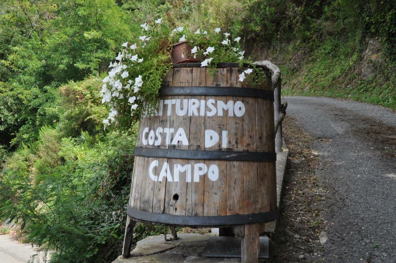 Agriturismo Costa Di Campo ヴェルナッツァ エクステリア 写真