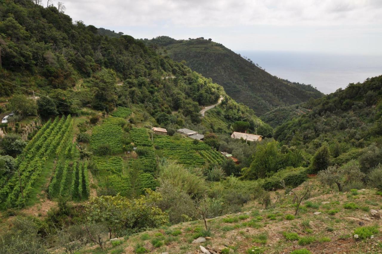 Agriturismo Costa Di Campo ヴェルナッツァ エクステリア 写真